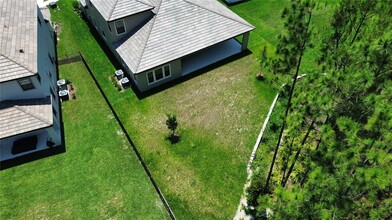 35335 Big Hawk Dr in Zephyrhills, FL - Building Photo - Building Photo