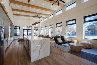 5 Row Apartments in Charlottesville, VA - Foto de edificio - Building Photo