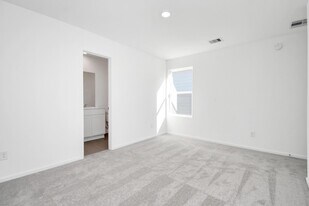 21269 Carosella Dr in New Caney, TX - Building Photo