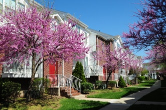 Harbortown Ports in Perth Amboy, NJ - Building Photo - Building Photo