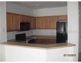 20468 Needletree Dr in Tampa, FL - Building Photo - Building Photo