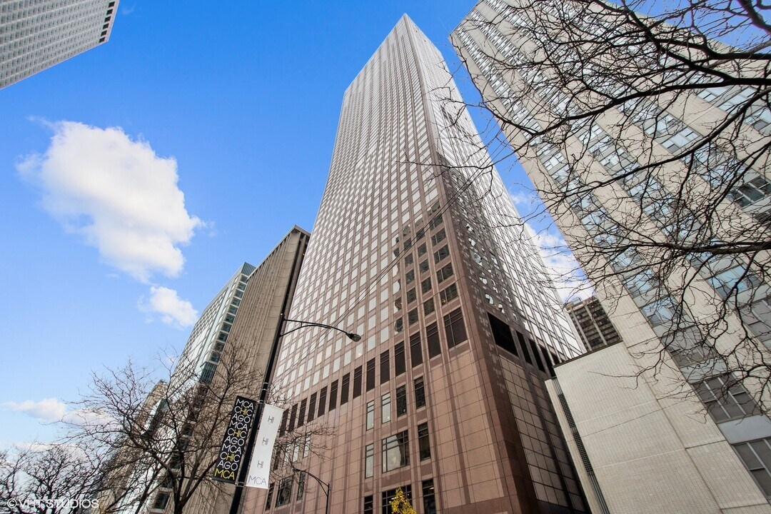 161 E Chicago Ave in Chicago, IL - Building Photo