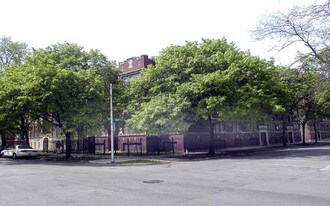 8000 S Ellis Ave in Chicago, IL - Building Photo