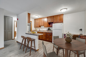 Bryant Manor Apartments in Minneapolis, MN - Building Photo - Building Photo