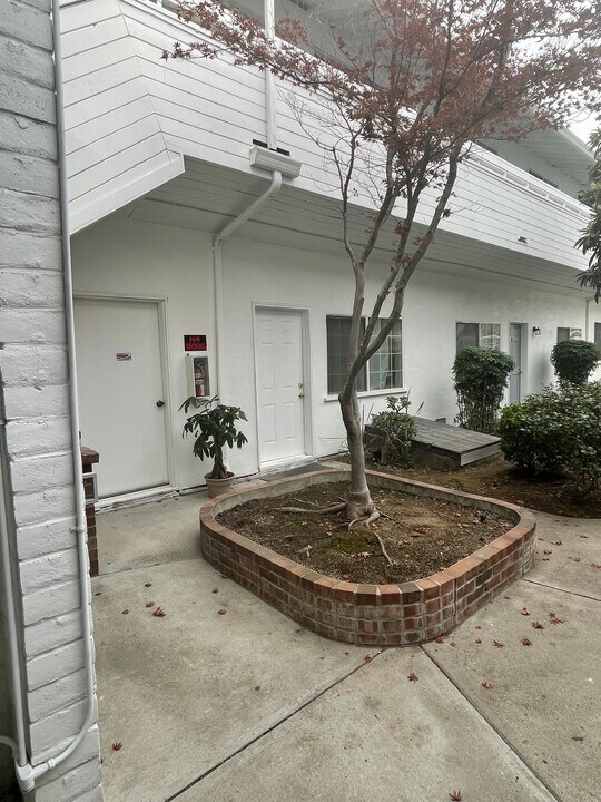 217 E Taylor St in San Jose, CA - Building Photo