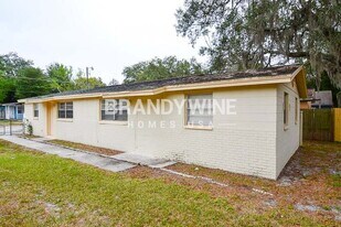 10112 N Lantana Ave in Tampa, FL - Building Photo