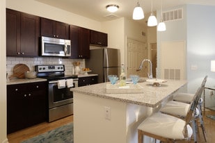 1 Bedroom Manayunk Apartments For Rent Pa The Royal Athena Apartments