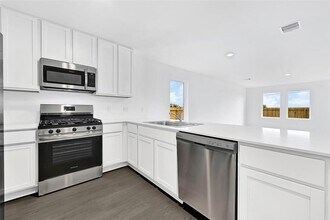 201 Texas Pecan Dr in Katy, TX - Building Photo - Building Photo