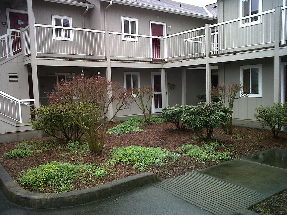 Witherspoon Court Apartments in Cottage Grove, OR - Building Photo