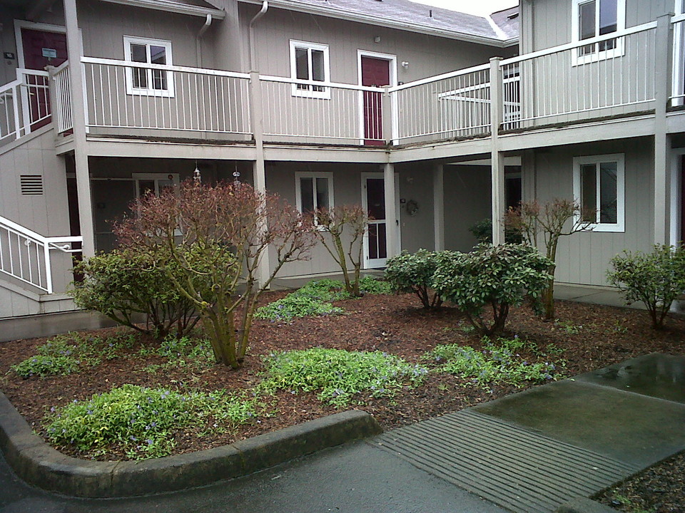 Witherspoon Court in Cottage Grove, OR - Building Photo