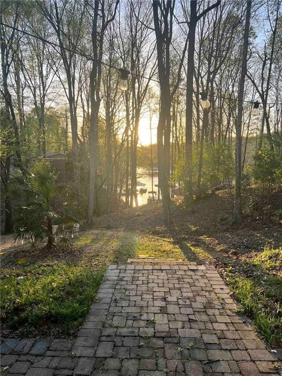 6061 Blackberry Ln in Buford, GA - Building Photo - Building Photo