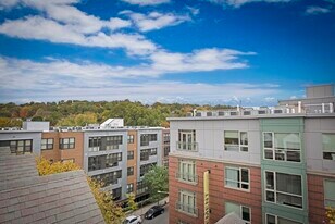 59 Brainerd Rd, Unit 1 in Boston, MA - Building Photo