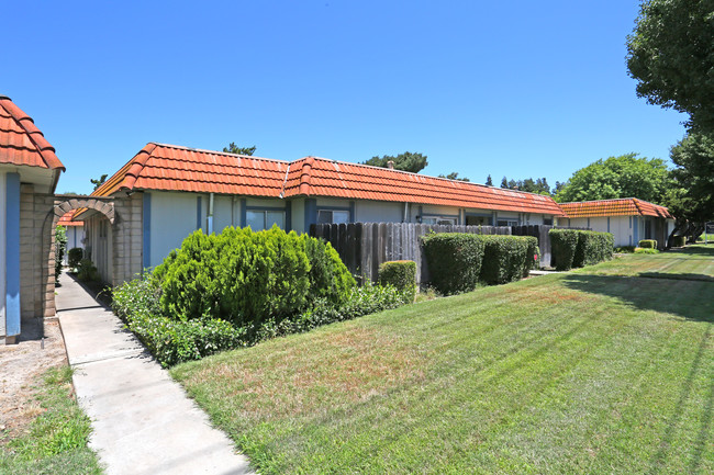 Standiford Terrance Apartments in Modesto, CA - Building Photo - Building Photo