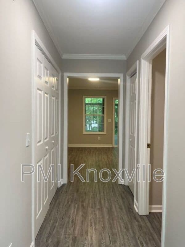 9219 George Williams Rd in Knoxville, TN - Building Photo - Building Photo