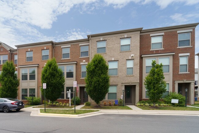 23503 Adagio Terrace in Ashburn, VA - Building Photo - Building Photo