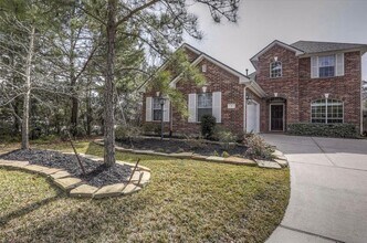 3 Patina Pines Pl in The Woodlands, TX - Building Photo - Building Photo