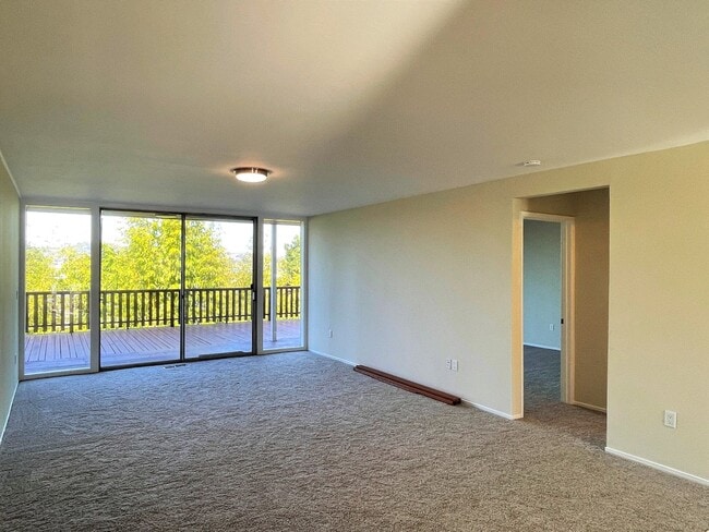 146 Buchanan Ct in Sausalito, CA - Building Photo - Building Photo