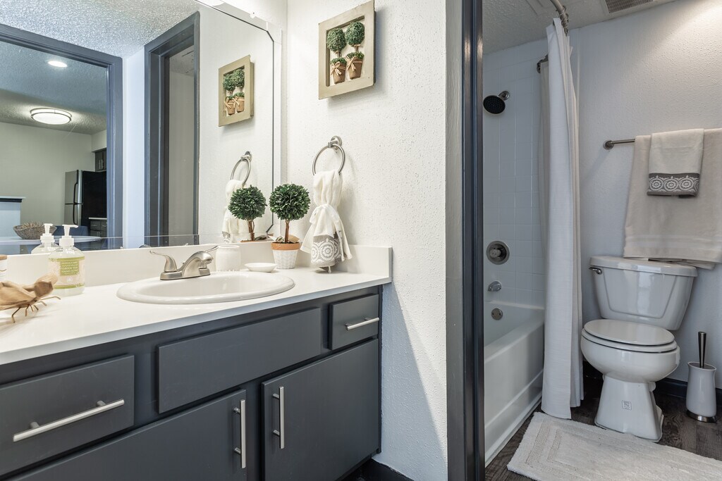 The Everly Dallas, TX Apartments