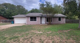 386 Lamaloa Ln in Bastrop, TX - Building Photo