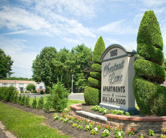 Chestnut Lane Apartments in Westville, NJ - Foto de edificio - Building Photo