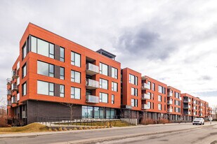 Gardenville Vieux Longueuil in Longueuil, QC - Building Photo