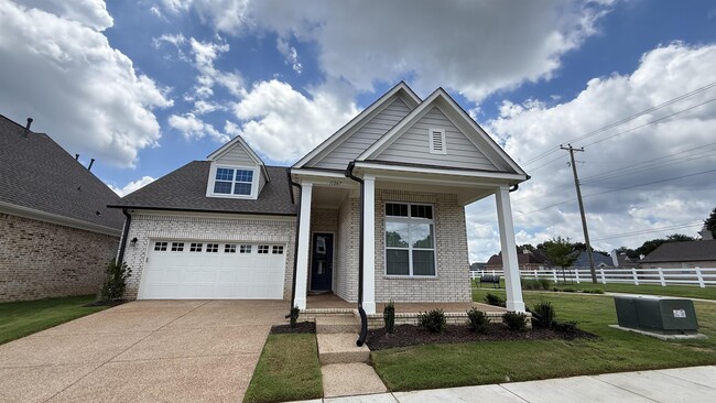 11267 Jamison Wds Dr E