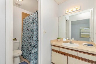 374 Cocoa Ct in Kissimmee, FL - Building Photo - Building Photo