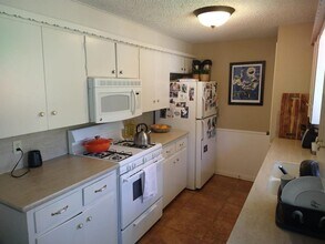 1002 Colony N Dr in Austin, TX - Building Photo - Building Photo