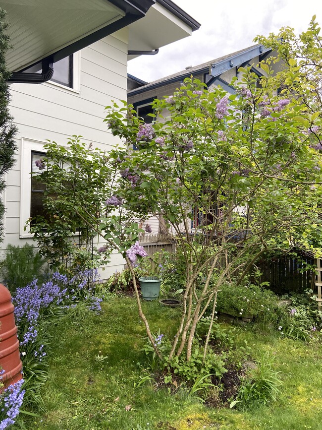 5042 18th Ave NE in Seattle, WA - Building Photo - Building Photo