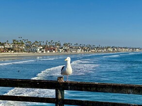820 Harbor Cliff Way in Oceanside, CA - Foto de edificio - Building Photo