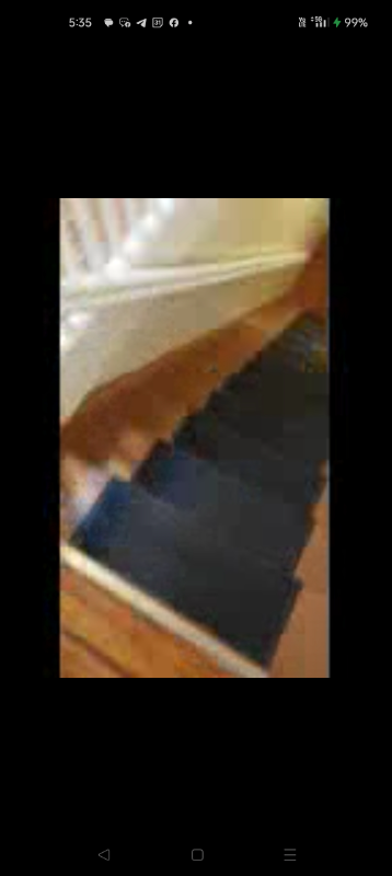 264 Crescent St. in Brooklyn, NY - Building Photo - Building Photo