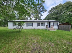 20272 Forest Woods Ln in Montgomery, TX - Building Photo