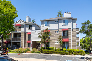 250 Santa Fe Ter in Sunnyvale, CA - Building Photo - Building Photo