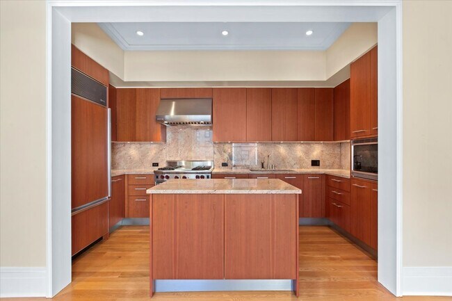 159 E Walton Pl in Chicago, IL - Building Photo - Building Photo
