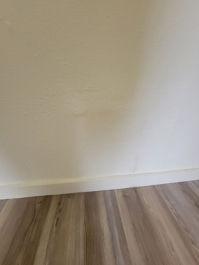 207 Hickory Ave in Crawfordville, FL - Building Photo - Building Photo