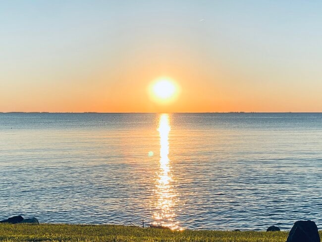 48725 Spring Ridge Rd, Unit Apt 1