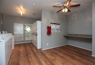 Applewood Village Apartments in Spring, TX - Foto de edificio - Interior Photo