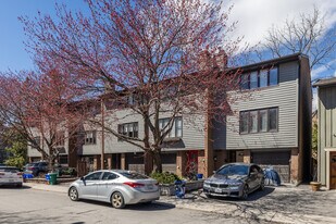 11 Montcalm St in Ottawa, ON - Building Photo