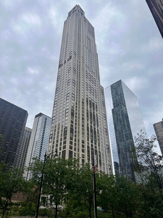 514 N Peshtigo Ct in Chicago, IL - Building Photo
