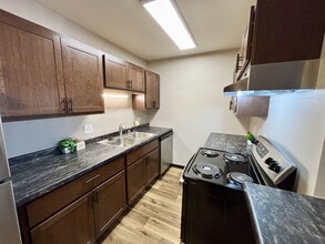 The Rockwell Apartments in Madison, WI - Building Photo - Building Photo