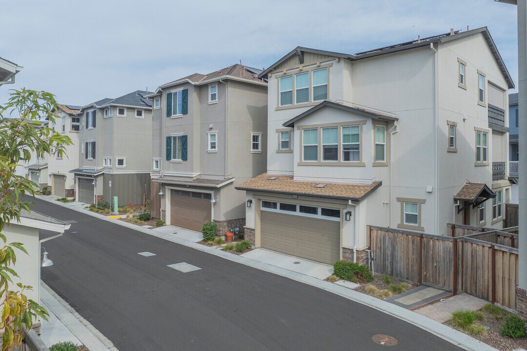 37394 Watersail Way in Newark, CA - Building Photo