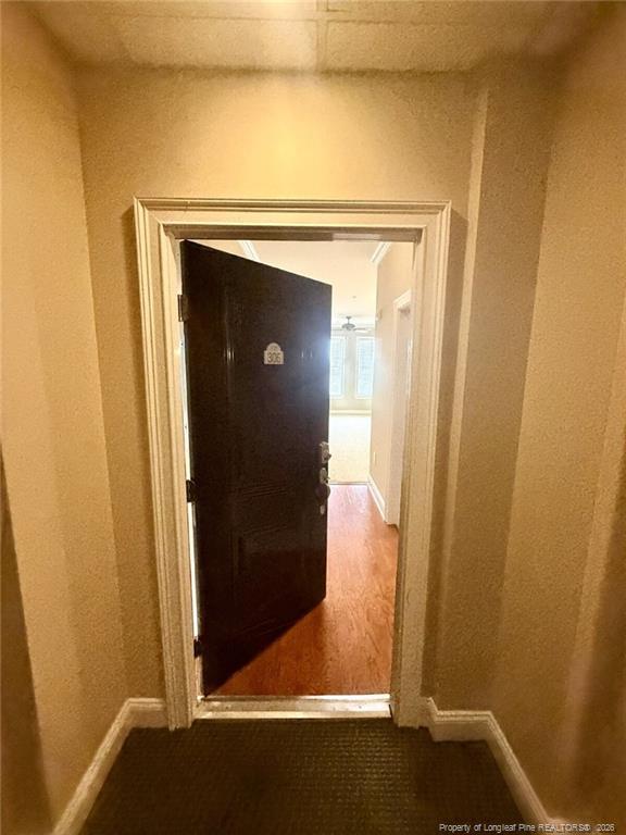 325 Hay St in Fayetteville, NC - Building Photo - Building Photo