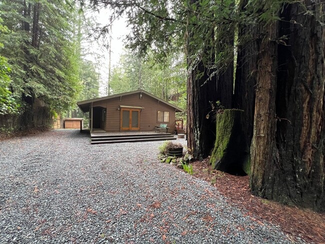 98 Sunrise Mountain Rd in Cazadero, CA - Building Photo - Building Photo