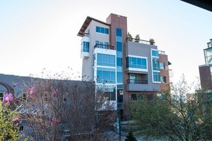 5 W Mountain St in Fayetteville, AR - Building Photo