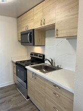 36976 Mulberry St in Newark, CA - Building Photo - Building Photo