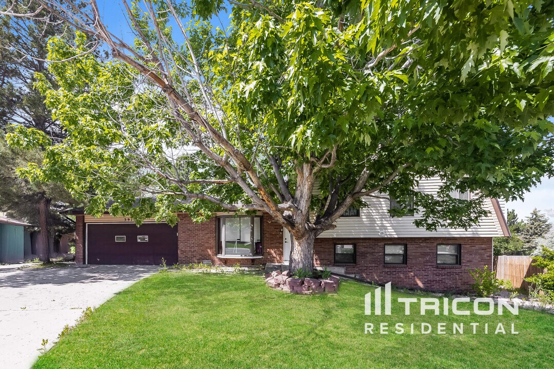 3915 Ruskin Pl S in Colorado Springs, CO - Building Photo