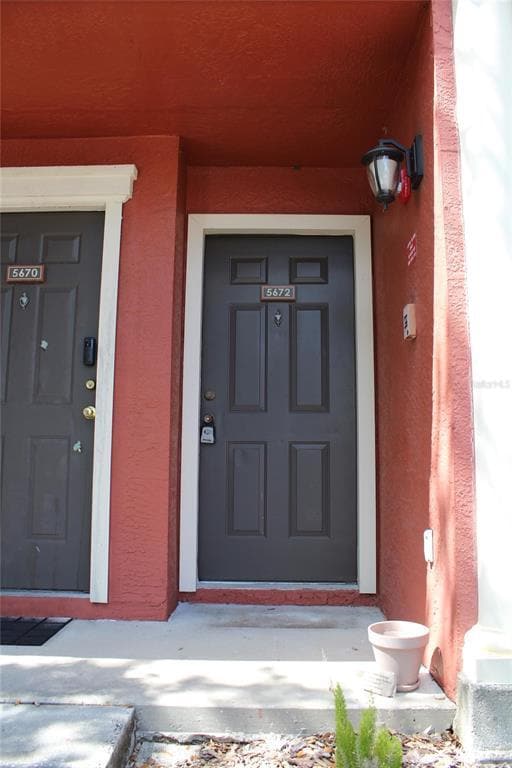 5672 Baywater Dr in Tampa, FL - Building Photo - Building Photo