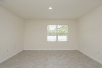 15517 Black Pepper Ln in Odessa, FL - Building Photo - Building Photo