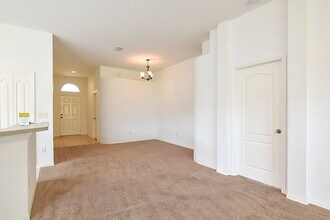 1224 Rolling Stone Run in Odessa, FL - Building Photo - Building Photo