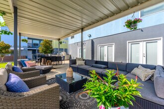 Nuvo Park Place in Dallas, TX - Building Photo - Building Photo